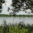 MOs810, WG 2014 39, Milicz Ponds Sloneczny Dolny pond (2)