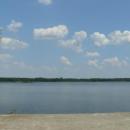 MOs810, WG 2014 39, Milicz Ponds Rudy pond (3)