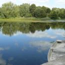 Gadkowicki Pond, Milicz Ponds (5)