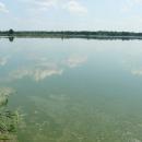 MOs810, WG 2014 39, Milicz Ponds Jamnik Gorny pond (6)
