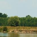 MOs810, WG 2014 39, Milicz Ponds Rudy pond (10)