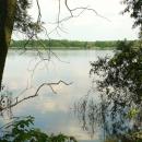 MOs810, WG 2014 39, Milicz Ponds Sloneczny Dolny pond (4)
