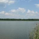 MOs810, WG 2014 39, Milicz Ponds Jamnik Gorny pond (4)