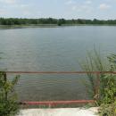 MOs810, WG 2014 39, Milicz Ponds Jamnik Gorny pond (2)