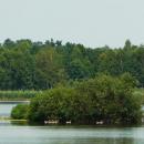MOs810, WG 2014 39, Milicz Ponds Rudy pond (9)