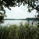 MOs810, WG 2014 39, Milicz Ponds Grabownicki pond (3)