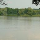 MOs810, WG 2014 39, Milicz Ponds Sloneczny Dolny pond (5)