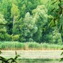 MOs810, WG 2014 39, Milicz Ponds Nowy Dolny pond (5)