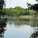 MOs810, WG 2014 39, Milicz Ponds Nowy Dolny pond (4)