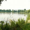 MOs810, WG 2014 39, Milicz Ponds Grabownicki pond (8)
