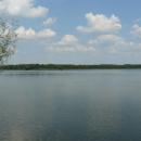 MOs810, WG 2014 39, Milicz Ponds Rudy pond (4)