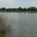 MOs810, WG 2014 39, Milicz Ponds Jamnik Gorny pond (3)